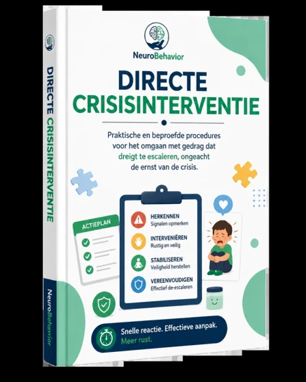 Directe crisisinterventie